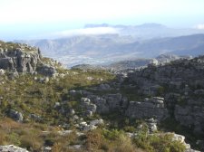tablemountain2