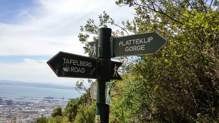 Tafelbergwanderung14