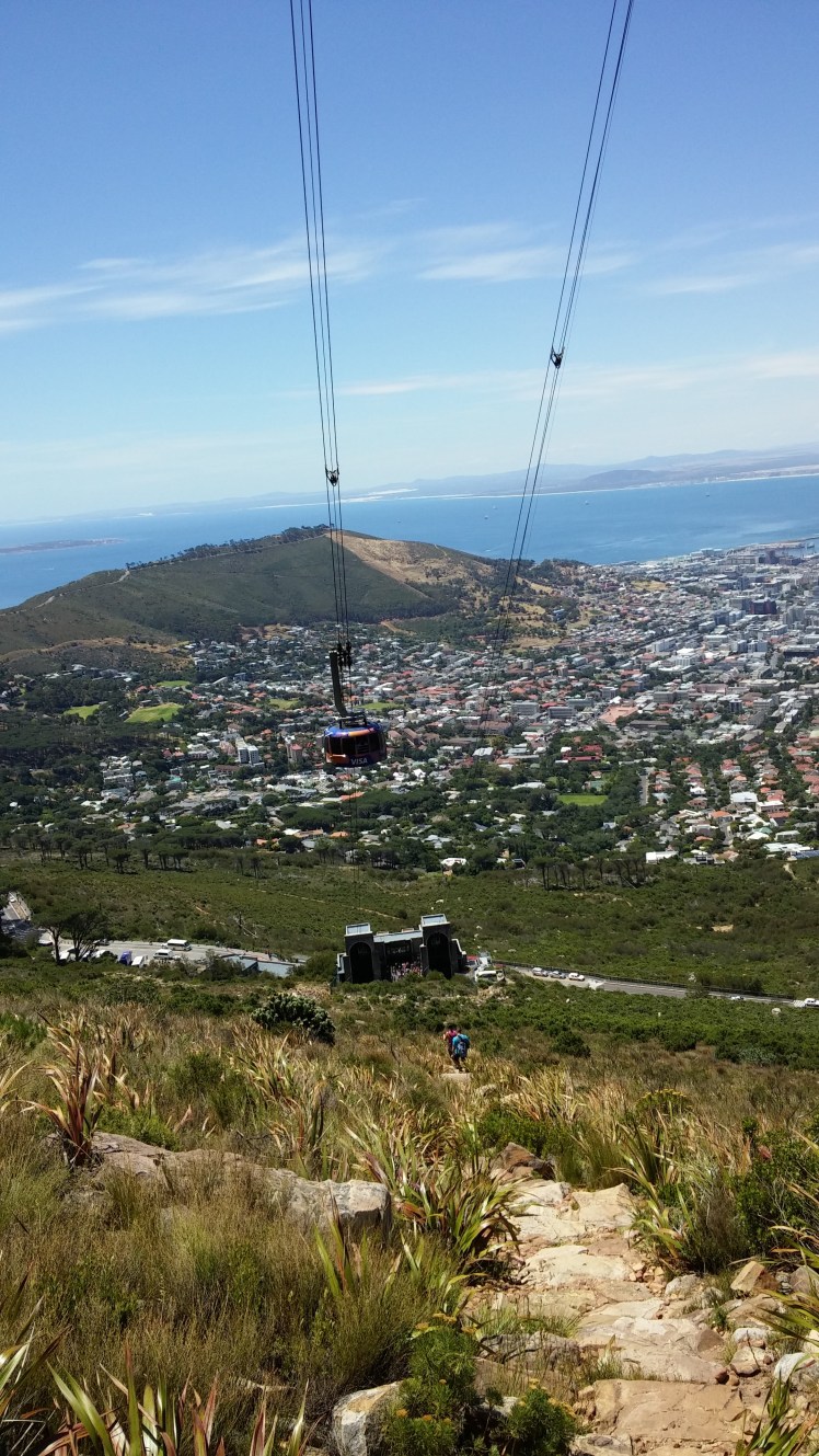 Tafelbergwanderung17