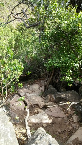 Tafelbergwanderung18