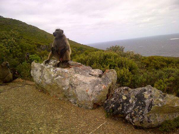 FB_IMG_1509055860436