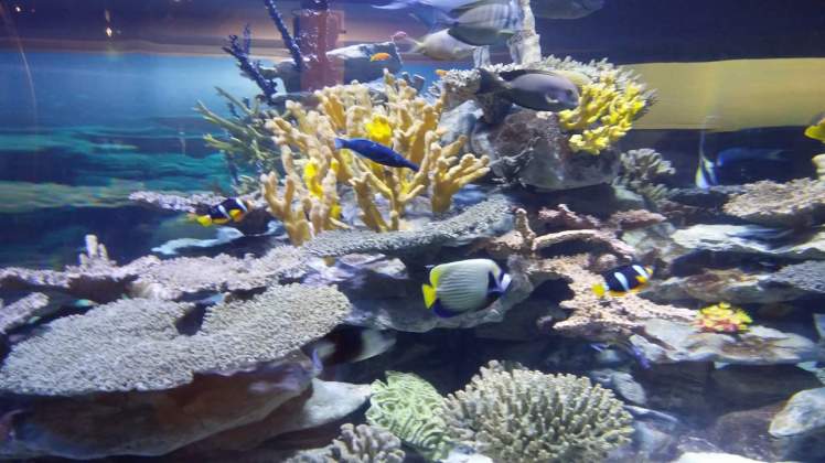 FB_IMG_1509909891481