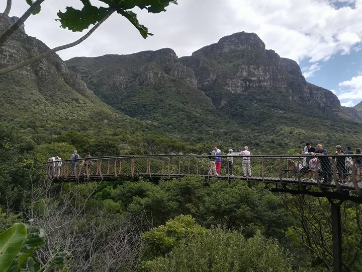 Kirstenbosch1
