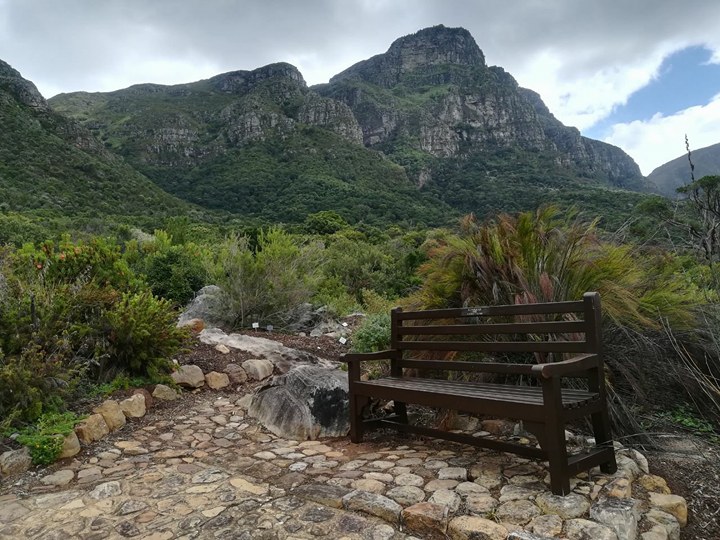 Kirstenbosch2