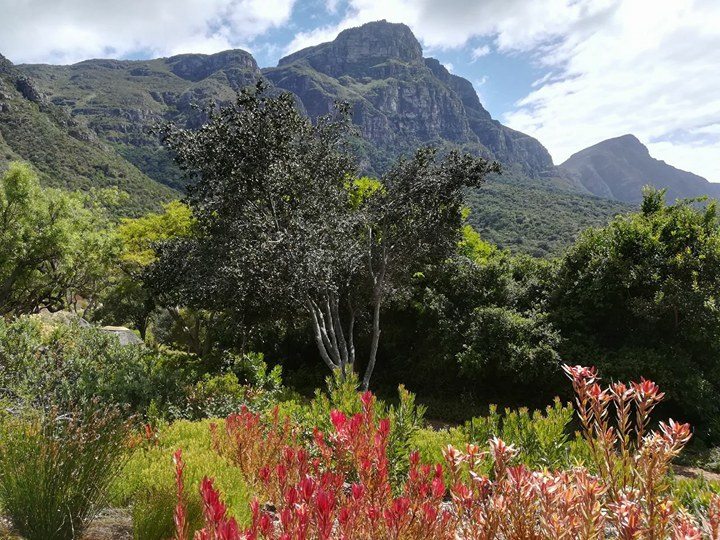 Kirstenbosch4
