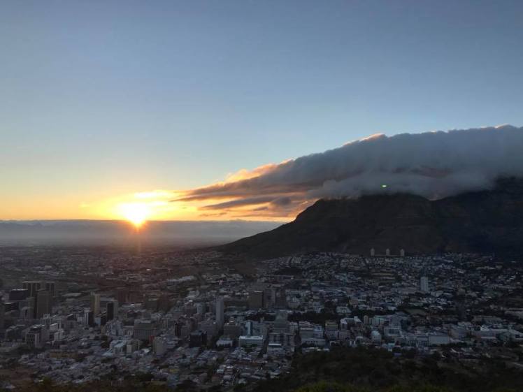 Lions_Head_Monique_Bruegger