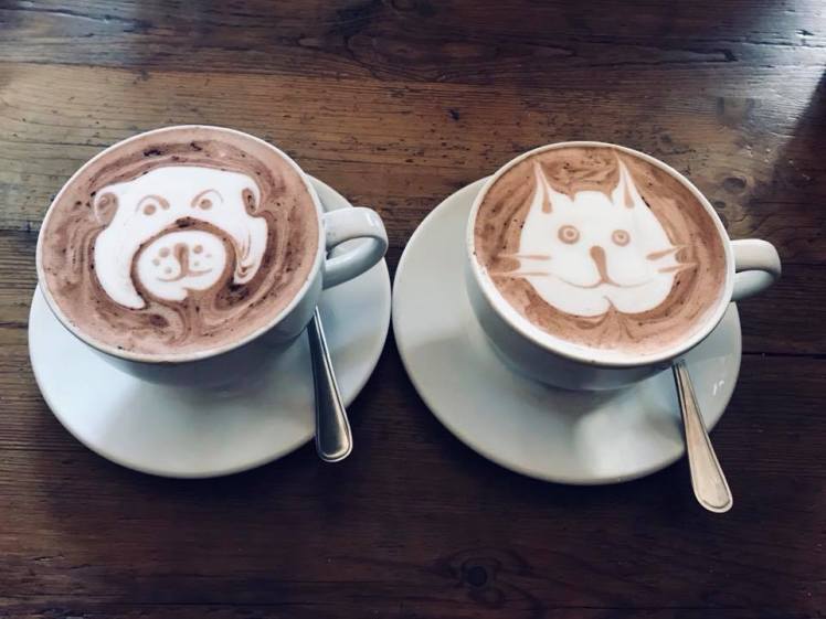 Truth_Coffee_Julian_Hls