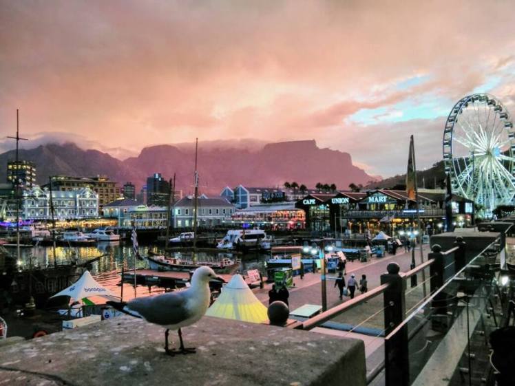 Waterfront_Marion_Drechsel